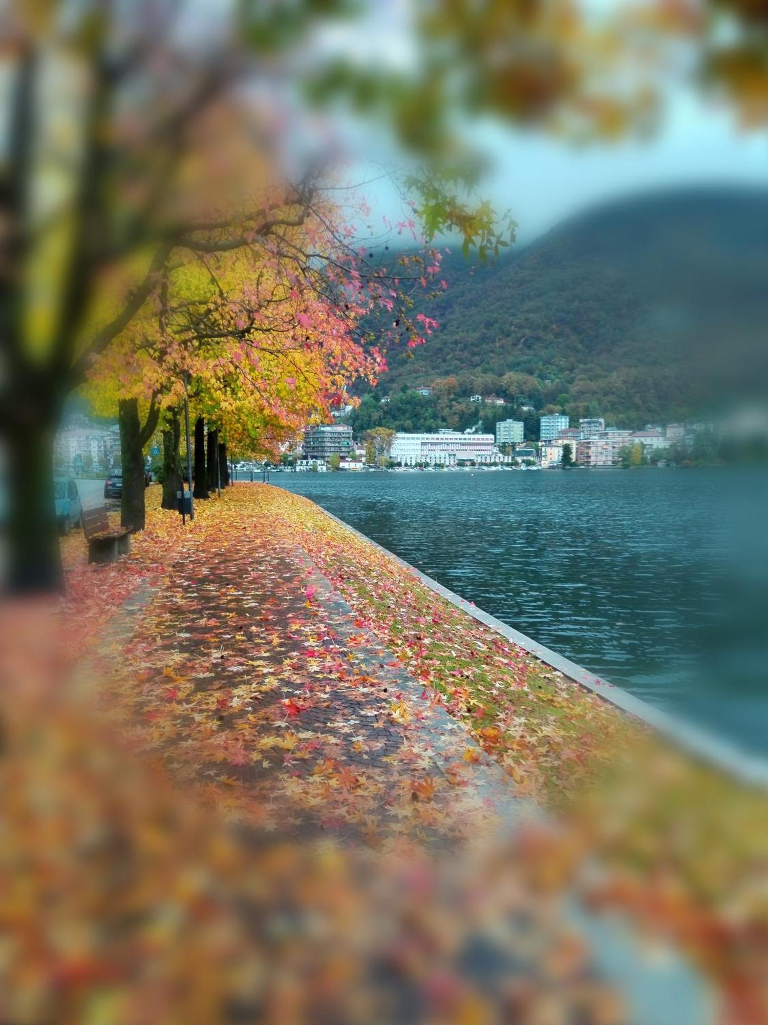 Un Balcone Sul Lago Omegna Zewnętrze zdjęcie